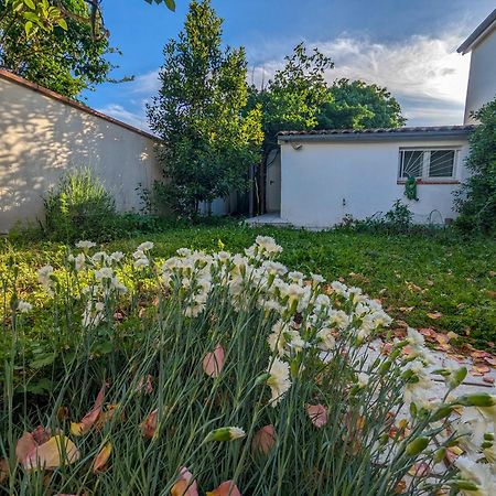La Maison Calme Et Lumineuse Avec Jardin Toulouse Eksteriør billede
